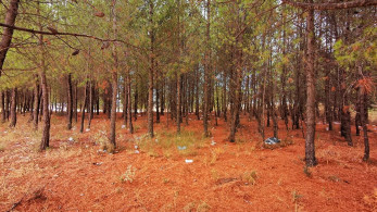 Ξεκινά και επίσημα την Τρίτη (22/9) το φθινόπωρο