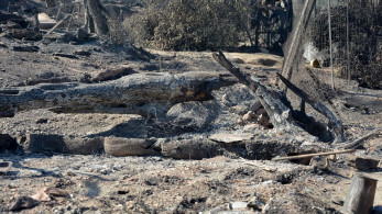Πώς έβαλαν οι Αφγανοί τις φωτιές στη Μόρια (βίντεο-ντοκουμέντο)