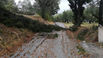 Ζημιές στην Ηλεία από την κακοκαιρία