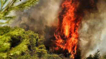 Υπο έλεγχο η πυρκαγιά στην περιοχή Ξηρόκαμπος της Νεμέας