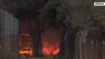 Μόρια: ΕΛ.ΑΣ, ΕΥΠ και Αντιτρομοκρατική ψάχνουν τους καθοδηγητές – Νέες φωτιές