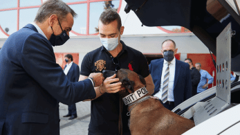 Η ευαισθησία Μητσοτάκη για τους τετράποδους φίλους μας