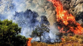 Μεγάλη πυρκαγιά στην περιοχή Βολίμες Ζακύνθου