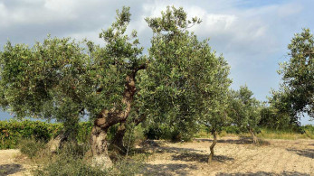 Σοκ στην Ευρυτανία: 53χρονος πυροβόλησε τον αδερφό του στο κυνήγι
