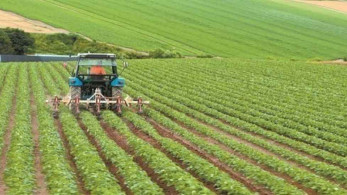 ΕΛΓΑ: Τις επόμενες ημέρες η καταβολή των αποζημιώσεων στους ανταποκριτές