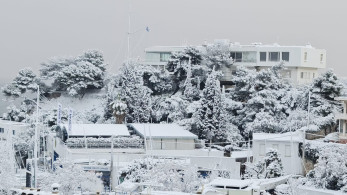 Μαύρη αντιπολίτευση σε λευκό φόντο