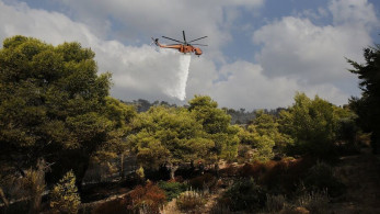 Πυρκαγιά σε δασική έκταση στην Καλλιθέα Ηλείας – Ένας νεκρός