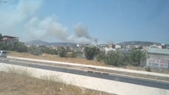 Μεγάλη φωτιά στο Ποικίλο όρος στο Αιγάλεω