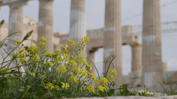Καιρός: Αίθριος με αραιές νεφώσεις
