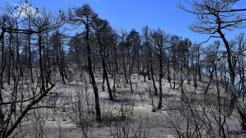 Γεράνεια Όρη: Το Ευρωπαϊκό ταμείο περιμένει την Ελλάδα