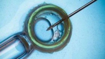 Κορωνοϊός: Τα mRNA εμβόλια δεν βλάπτουν το ανδρικό σπέρμα