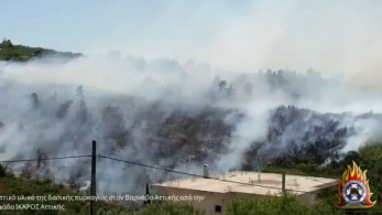 Βίντεο από τη φωτιά στον Βαρνάβα-57 πυρκαγιές σ’ ένα 24ωρο