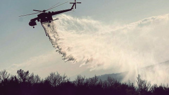 Εύβοια: Νέα φωτιά στο Βασιλικό