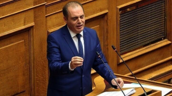 Ελληνική Λύση: Το κόμμα σταυρόλεξο