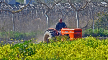 Απόφαση Λιβανού – Βεσυρόπουλου για εισοδήματα που δεν θα συνυπολογίζονται για την εγγραφή στο Μητρώο Αγροτών