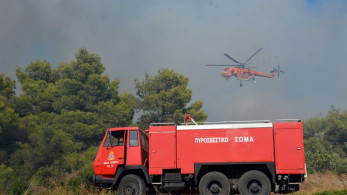 Χαλκιδική: Σε εξέλιξη φωτιά σε δασική περιοχή του Ταξιάρχη