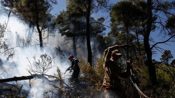 ΥΠΕΝ-ΤΕΕ: Σε χρόνους “ρεκόρ” οι μελέτες για την αποκατάσταση των πυρόπληκτων περιοχών σε Ν. Μάκρη και Ραφήνα