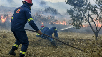 Κομοτηνή: Πυρκαγιά σε δασική έκταση στην Νυμφαία