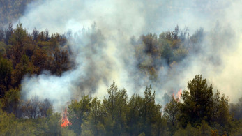Φωτιά στα Βίλια: Η κοντή μνήμη του δημάρχου Μάνδρας και τα «όπλα» που είχε από την κυβέρνηση