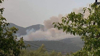 Φωτιά στη Μεσσηνία: Νέο μήνυμα εκκένωσης από το 112