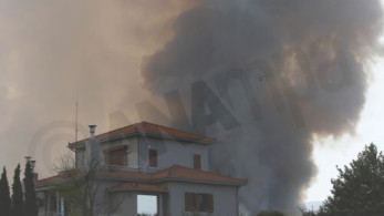 Φωκίδα: Στα 6 χιλιόμετρα το μέτωπο, εκκενώθηκαν Ελαία και Καλλιθέα