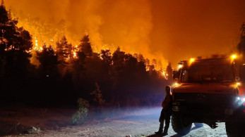 Περισσότερα από ένα εκατομμύριο στρέμματα κάηκαν μέσα σε δύο εβδομάδες στην Ελλάδα