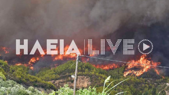 Ηλεία: Εντοπίστηκε ύποπτος για εμπρησμό