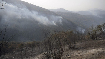 Αλγερία: Αγγίζουν τους 90 οι νεκροί από τις δασικές πυρκαγιές