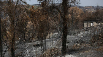 Λιβανός: Άμεσα οι αποζημιώσεις στους πληγέντες αγρότες και κτηνοτρόφους
