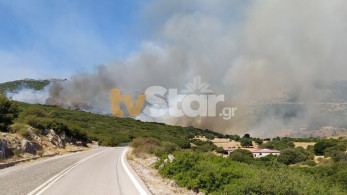 Εύβοια – Υπό έλεγχο η φωτιά στις Πετριές
