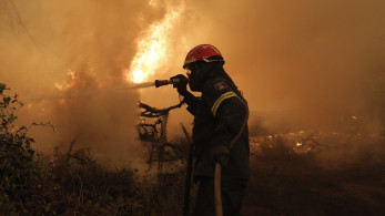 Εύβοια: Μικρές ζημιές σε σπίτια από το πέρασμα της φωτιάς από το Πευκί