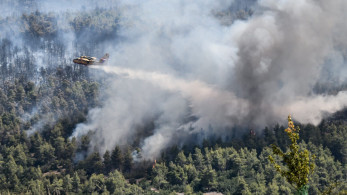 Βίλια: Υπό έλεγχο η φωτιά και στο νότιο τμήμα