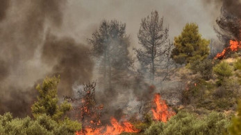 Πύρινο μέτωπο 7 χιλιομέτρων στην Κόνιτσα
