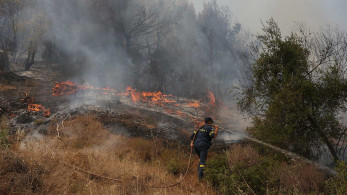 «Αρχαία Ολυμπία: Υπό έλεγχο δύο πύρινα μέτωπα σε Ηράκλεια και φράγμα Αλφειού