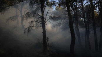 Εργασίες απομάκρυνσης καμένων δένδρων από τις πυρόπληκτες περιοχές της Αττικής