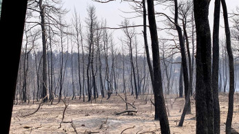 Οι κάτοικοι της Βόρειας Εύβοιας ζητούν να φύγει όσο πιο γρήγορα το μαύρο από τη ζωή τους