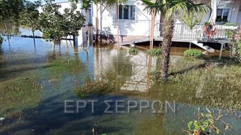 Σέρρες: Υπερχείλισε κανάλι πλημμυρίζοντας σπίτια στα Καλά Δένδρα