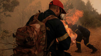 Μόνιμη εγκατάσταση Ευρωπαίων δασοκομάντος στην Ελλάδα