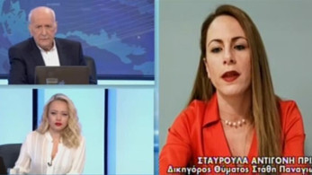 Δικηγόρος θύματος Στάθη Παναγιωτόπουλου: Είχαμε κάνει μηνύσεις και δεν έγινε τίποτα