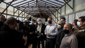 Λιβανός από Μαραθώνα: Αναζητούμε λύσεις για τη στήριξη των παραγωγών