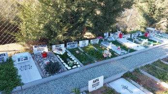 Αποτεφρωτήριο ξεκινά τη λειτουργία του σε νεκροταφείο ζώων στη Θεσσαλονίκη