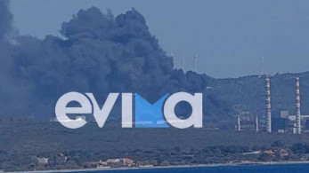 Αλιβέρι: Υπό μερικό έλεγχο φωτιά κοντά στο εργοστάσιο της ΔΕΗ