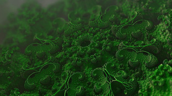 Μύκητας Candida auris: Πόσο πρέπει να ανησυχούμε