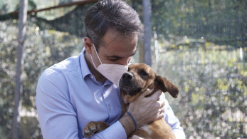Με πρωτοβουλία Μητσοτάκη συγκροτείται Ειδική Γραμματεία για την Προστασία των Ζώων Συντροφιάς