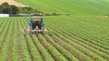 Πολλές επενδυτικές αιτήσεις για «Καινοτομία και Πράσινη Μετάβαση στη Μεταποίηση Αγροτικών Προϊόντων»