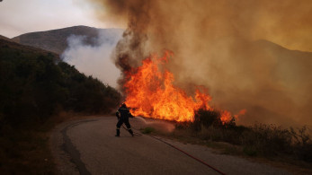 Φωτιά στην Εύβοια – Οι δυνατοί άνεμοι δυσκολεύουν το έργο των πυροσβεστών
