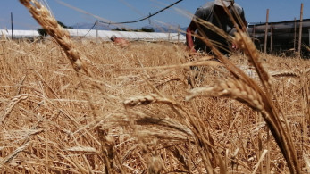 Ένας σιτοβολώνας από τα παλιά, στην τουριστική Ιεράπετρα