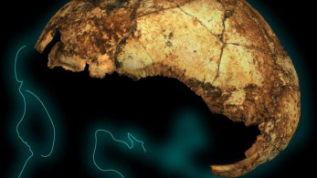 Ανακάλυψη: Το αρχαιότερο κρανίο στον κόσμο ηλικίας 2 εκατ. ετών!