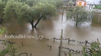 Κακοκαιρία: Πλημμύρες σε Χαλκιδική, Τρίκαλα, Σκιάθο, Λαγκαδά (vid&pics)