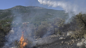 Αναζωπυρώσεις στην Κορυφή Πύργου Ηλείας (VIDEO)